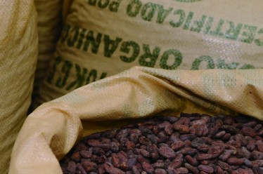 Запах шоколада, «Холи какао» («Священное какао»), шоколадная фабрика, Маале-Хевер